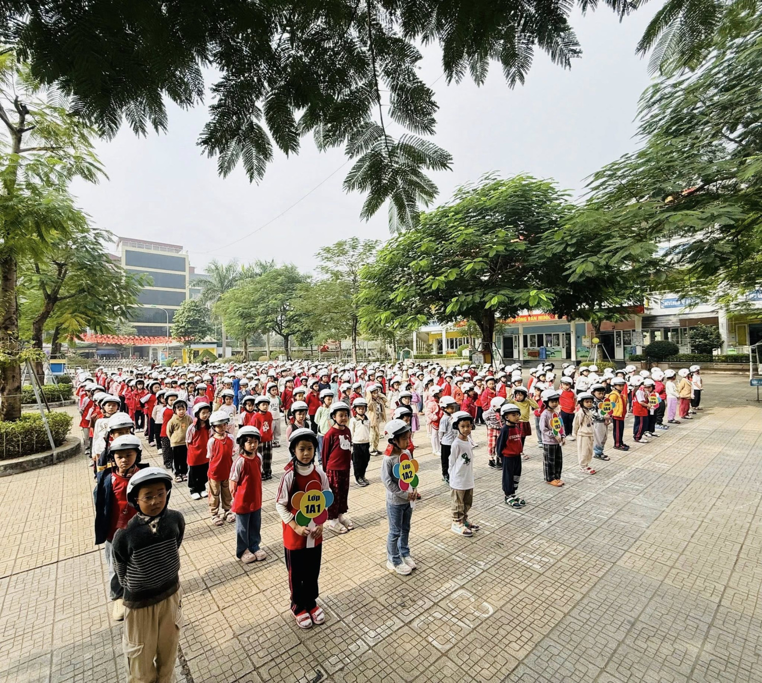 594055696 122195909270347630 6703273953884769310 n